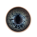 WabiRust Jian Zhan Tenmoku Tea Cup