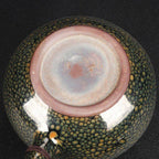 Tenmoku Jian Zhan Green Partridge Glaze Xishi Teapot