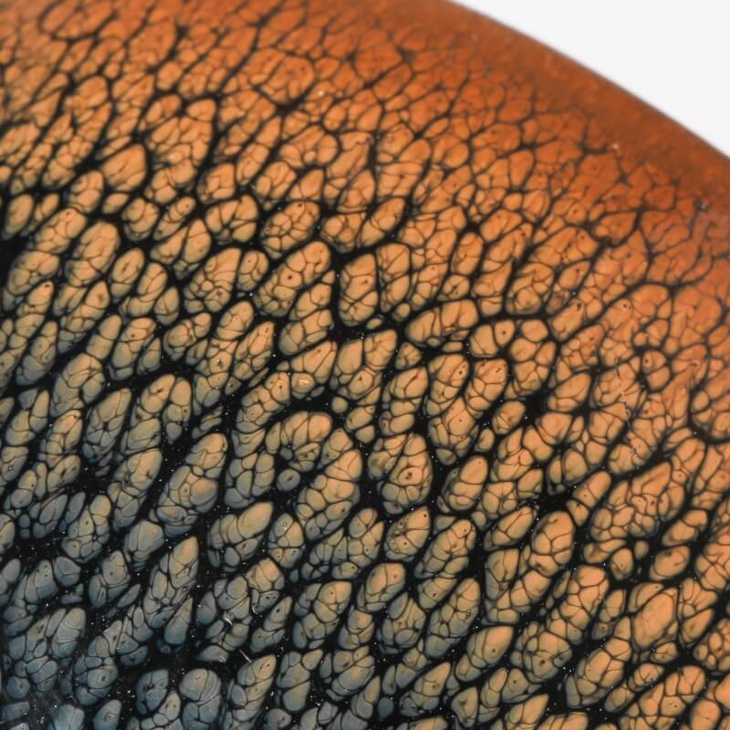 Partridge Tenmoku Glaze Jianzhan Teacup