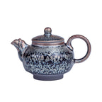 Handmde Tenmoku Jian Zhan Oil Spot Eagle Teapot