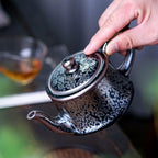 Handmde Tenmoku Jian Zhan Oil Spot Hxq Teapot